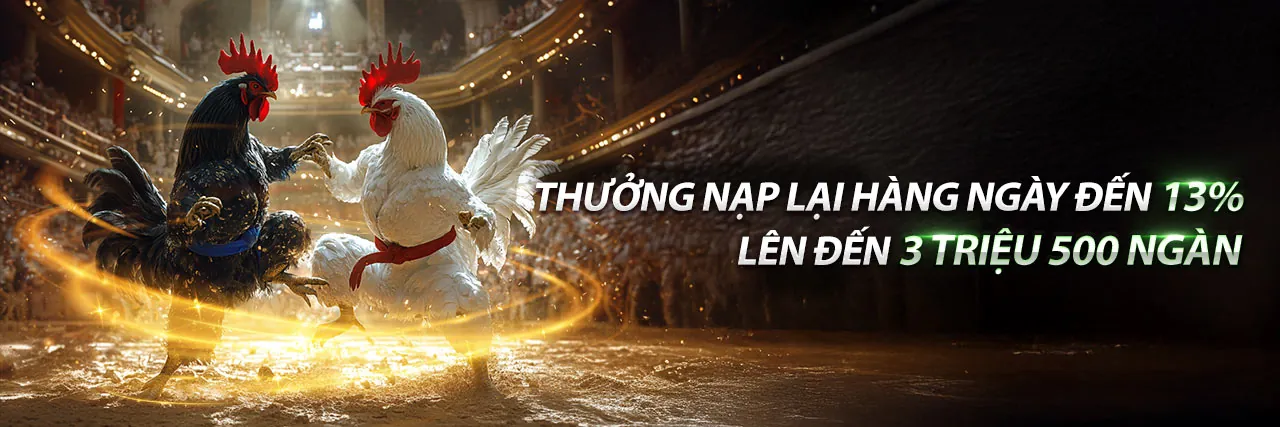 Hình ảnh đá gà trực tuyến kịch tính trên xocdia88 apk